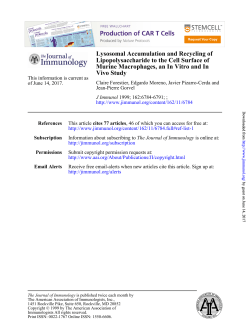 Lysosomal Accumulation and Recycling of Lipopolysaccharide to