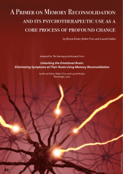 A Primer on Memory Reconsolidation