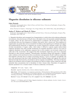 Magnetite dissolution in siliceous sediments