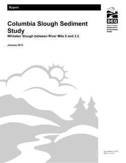 Columbia Slough Sediment Study