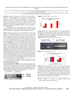 tenascin-c splice variant expression in cultured human chondrocytes