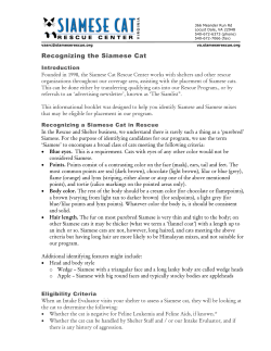 Recognizing the Siamese Cat