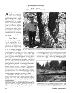 Cypress Species in Oregon - Native Plant Society of Oregon