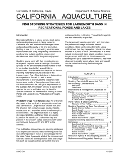 Fish stocking strategies for largemouth bass in recreational ponds