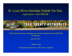 St. Louis River Interlake Duluth Tar Site: experiences with NRDAR