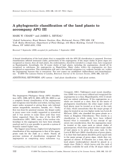 A phylogenetic classification of the land plants to