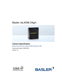 Basler raL4096-24gm