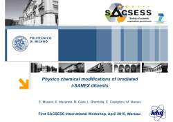 Physico chemical modifications of irradiated i-SANEX