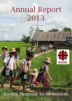 Annual Report 2013 - Karuna Mission Social Solidarity