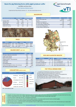 Boom for pig fattening farms while piglet producer