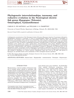 Phylogenetic interrelationships, taxonomy, and reductive evolution