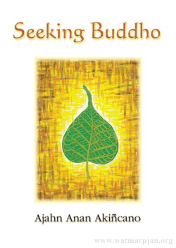 Seeking Buddho - Peace Beyond Suffering