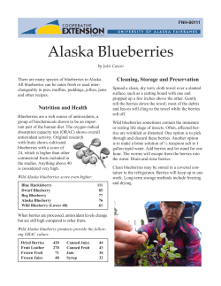 Alaska Blueberries - University of Alaska Fairbanks