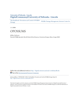 opossums - DigitalCommons@University of Nebraska