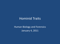 Hominid Traits - Fall River Public Schools