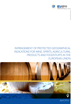 infringement of protected geographical - euipo