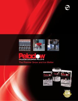 The Premier Snow and Ice Melter