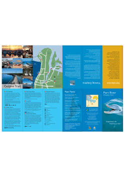 Dolphin Trail - City of Port Adelaide Enfield