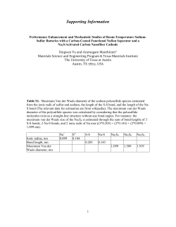 Supporting Information