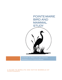 the pdf here. - Pointe