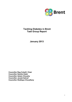 spi-diabetes-app PDF 384 KB - Meetings, agendas, and minutes