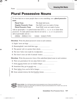 Plural Possessive Nouns
