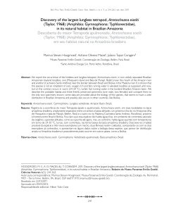 Discovery of the largest lungless tetrapod, Atretochoana eiselti