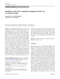 emotional contagion and the role of oxytocin in pigs