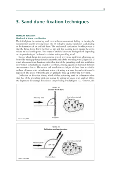 3. Sand dune fixation techniques