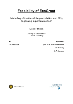 Feasibility of EcoGrout - Utrecht University Repository