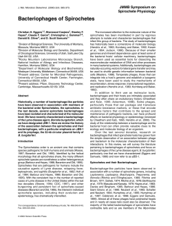 Bacteriophages of Spirochetes