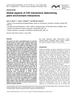 Global aspects of C/N interactions determining