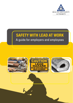 safety with lead at work