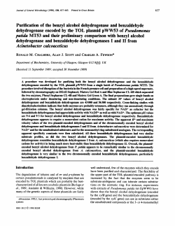 Purification of the benzyl alcohol dehydrogenase and