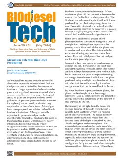 Maximum Biodiesel Production Potential