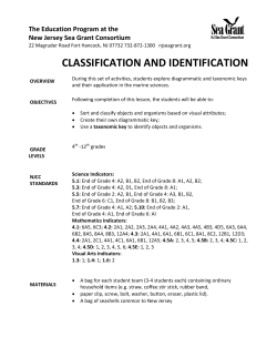classification and identification