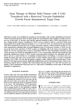 Gene Therapy of Murine Solid Tumors with T Cells