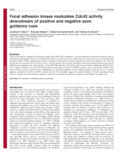 Focal adhesion kinase modulates Cdc42 activity downstream of