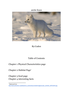 arctic foxes By:Caden Table of Contents Chapter 1 Physical