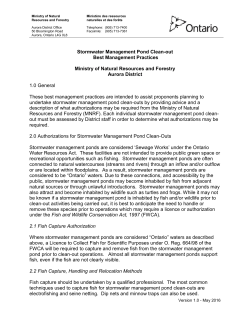 Stormwater Management Pond Clean