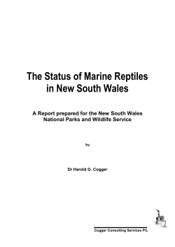 The status of marine reptiles in NSW (PDF