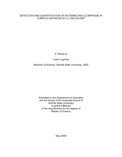 Thesis - Wichita State University