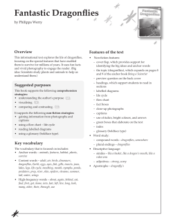 Fantastic Dragonflies