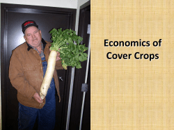 Economics of Cover Crops