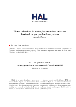 Phase behaviour in water/hydrocarbon mixtures involved in gas