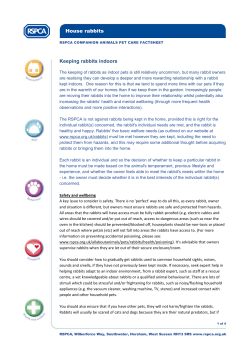 House rabbits Keeping rabbits indoors