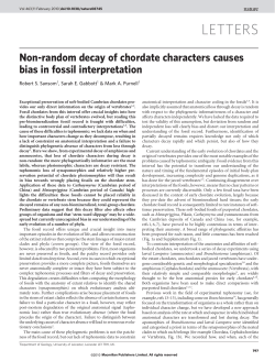 Non-random decay of chordate characters causes bias in fossil