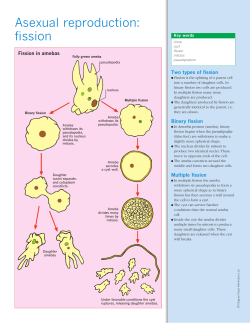 Asexual reproduction: fission