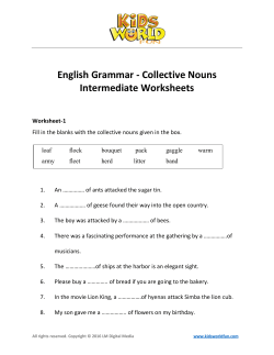 English Grammar - Collective Nouns Intermediate Worksheets