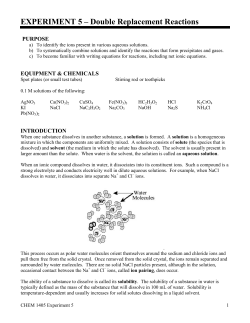 EXPERIMENT 5 &ndash; Double Replacement Reactions